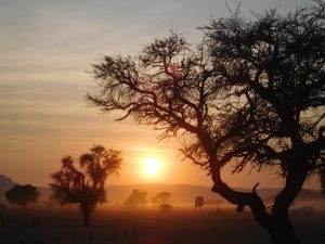 Auf dem Weg zum Sossusvlei